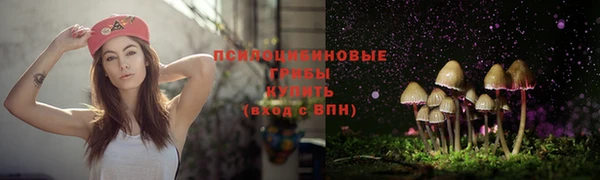 бошки Аркадак